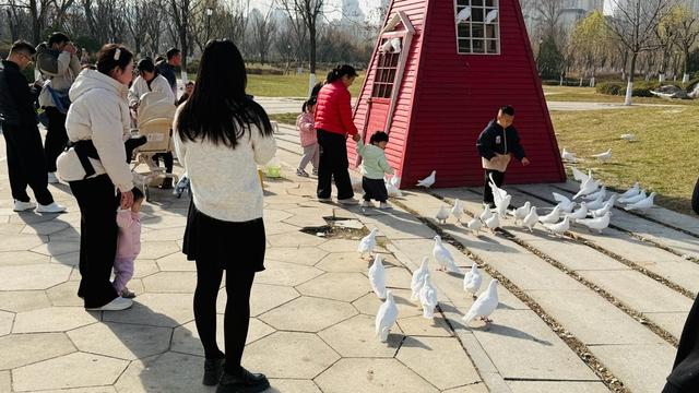 新视界｜济南：“大雪”华山美 游客乐游园