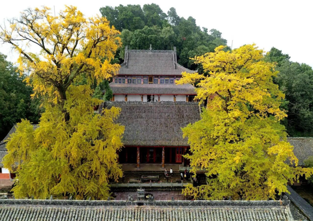 出发！来四川淘“金”