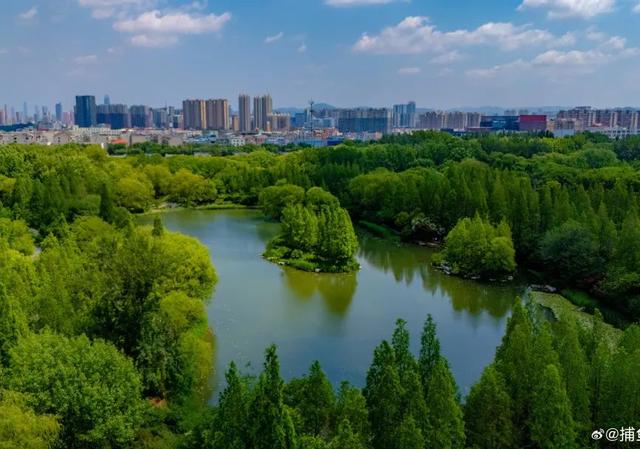 跟着市运游济南 | 济南西部这座体育公园，是一本用草木写就的童话书