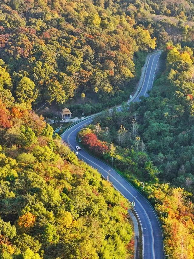 周末，去“捡秋”！