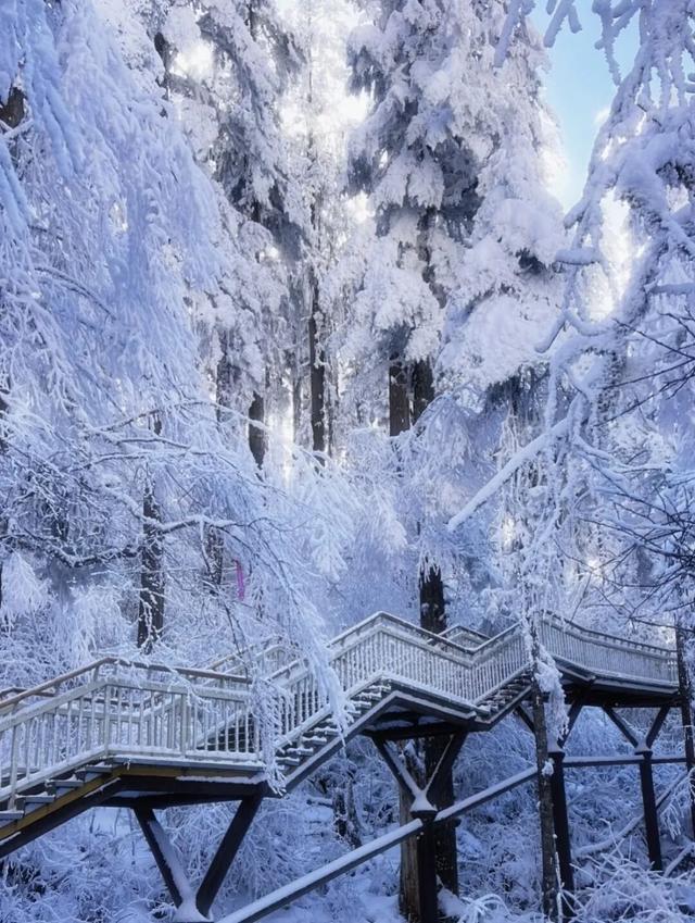 冬天的贡嘎才是真绝色！