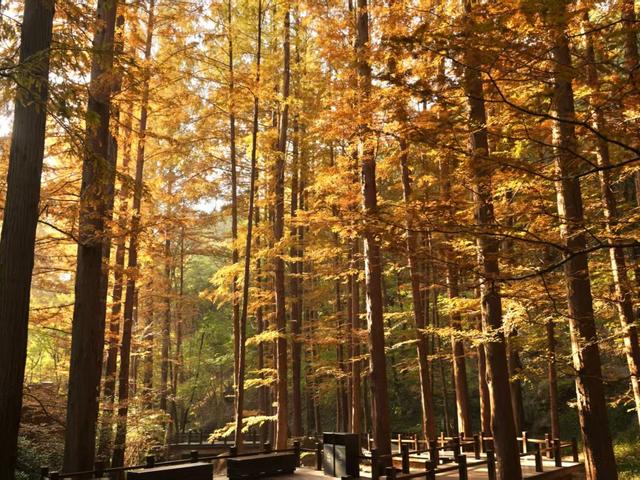 北京日报社区小板报 | 今又重阳！“福利”不重样——