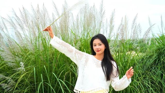 清城芦苇荡：隐藏在城市边缘的秋日童话