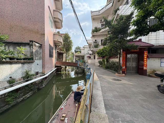 记者实探佛山基孔肯雅热疫情