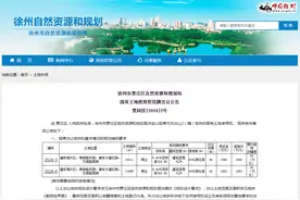 徐州市挂牌出让2宗商业用地 土地面积共计29906㎡图片