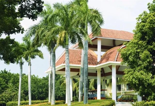 三亚，“老”出片了