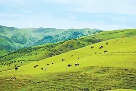穿越关山古道 探寻千年历史图片