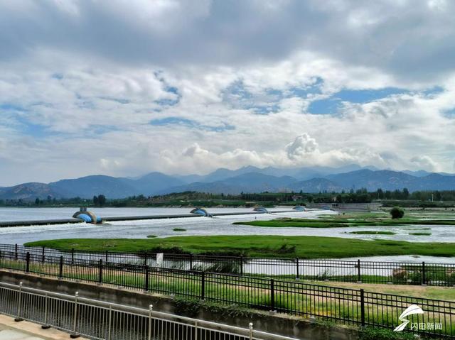 马术展演、低空飞行……泰安汶河新区为您提供“消夏休闲方案”