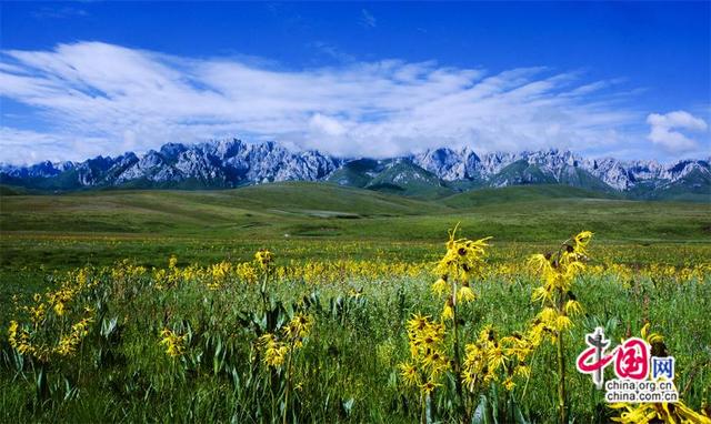 高舜礼：“河南+河南”一场出其不意的旅游推介