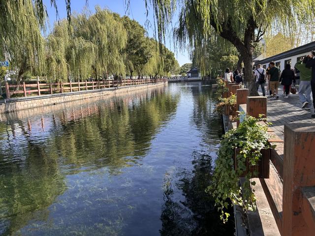 朱家角古镇现“果冻河”：破解“水乡无水清”，争创5A成关键契机