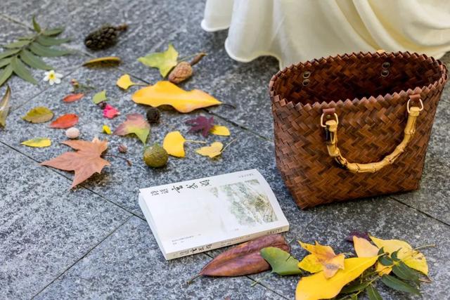 周末，去“捡秋”！