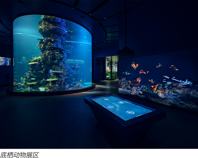 新加坡圣淘沙名胜世界：未来的另一种答案