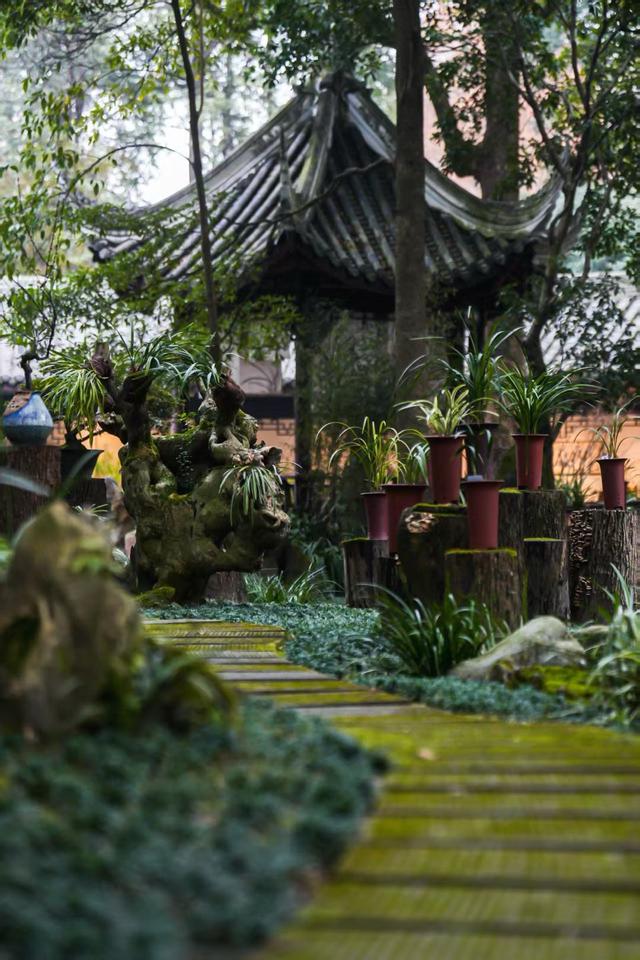 这些精彩文博展览，元旦假期别错过！