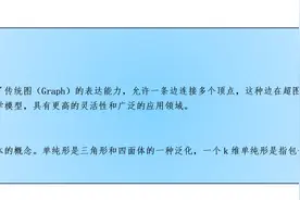 解释城市｜新加坡、纽约等大都市间有怎样的高阶网络关系？图片