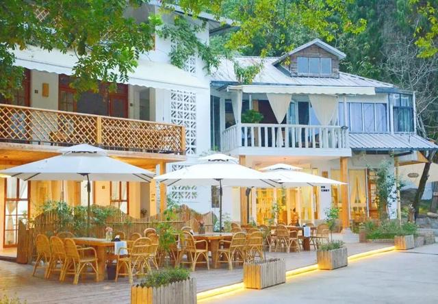 青睐绵阳 ‖ 一城秋色，菊香满园，游仙区富乐山十万香阵花正浓！