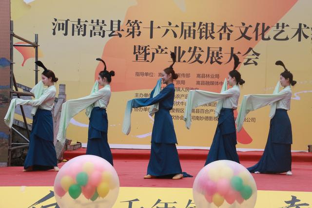 梦回大唐！这片千年银杏林进入今年“颜值巅峰期”丨绿美河南有古树②