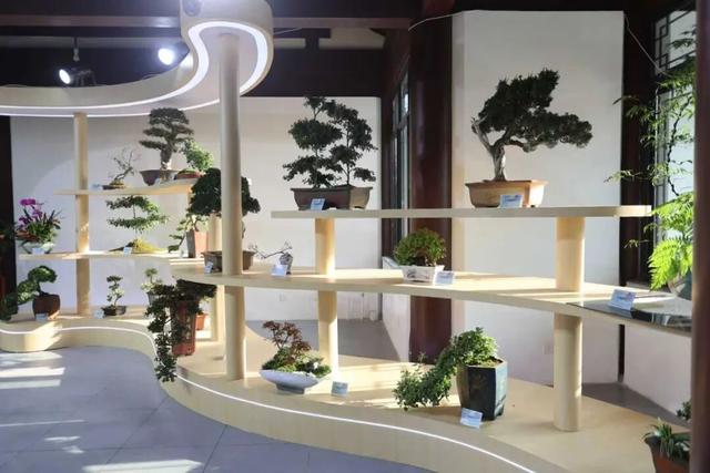 5大展区亮点纷呈！济南起步区鹊山生态文化区藏着“齐鲁园林盛宴”
