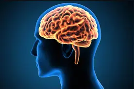 最新研究：人类智力似乎正在走下坡路，但不用悲观图片