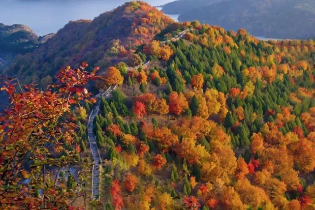 绝美！今秋，就去北京这些登山步道赏红叶！