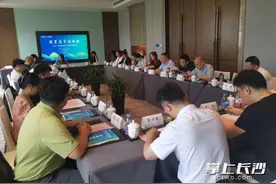 政府当红娘， 对非企业当面话“姻缘”图片