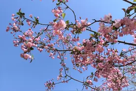 沙尘过后优级“泉城蓝”回来了！济南继续发布寒潮蓝色预警信号图片