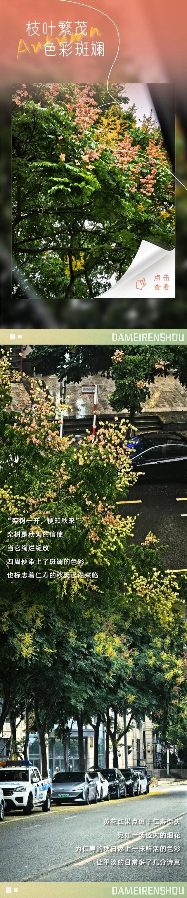 秋日预告，仁寿的绝色在这里集齐了