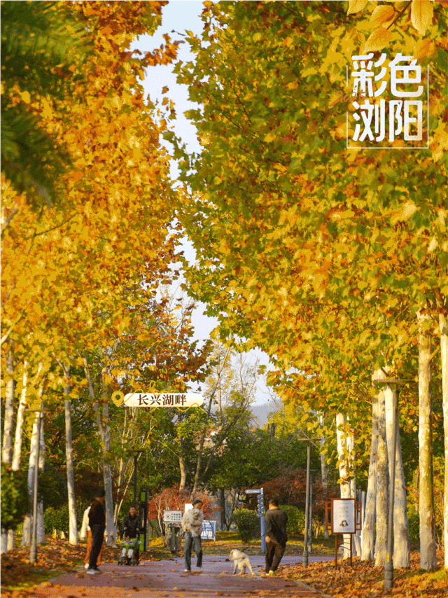 浏阳粉色公交站出圈，太浪漫了！