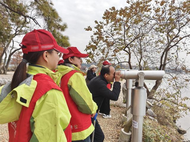 武汉文旅志愿者守护东湖飞鸟，绘就生态文旅画卷