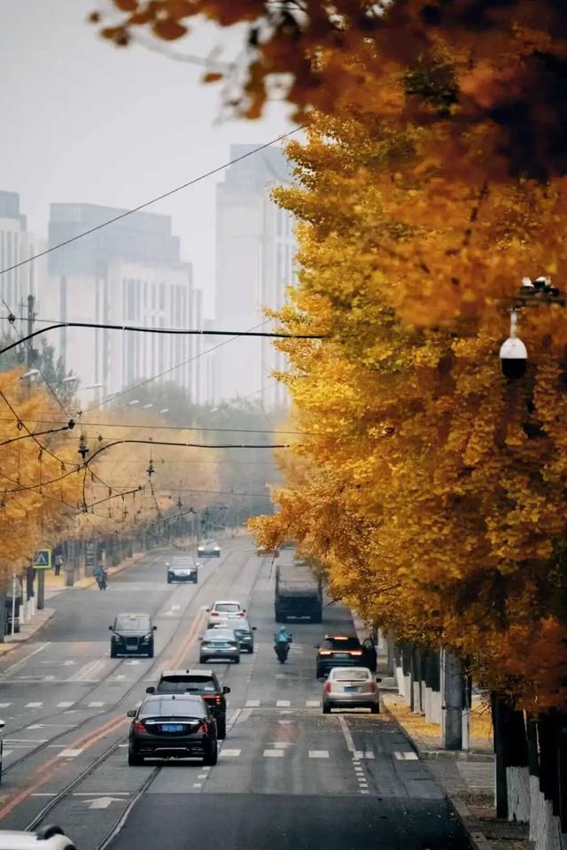 “缓扫”了，快点来大连拍照打卡吧！