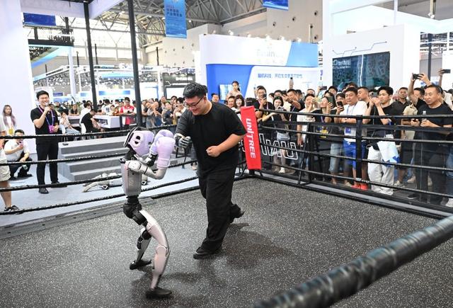 图片新闻｜2025智博会：机器人格斗赛 招式有模有样