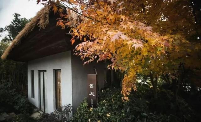 周末去打卡丨红了！吴江追“枫”宝典请收藏