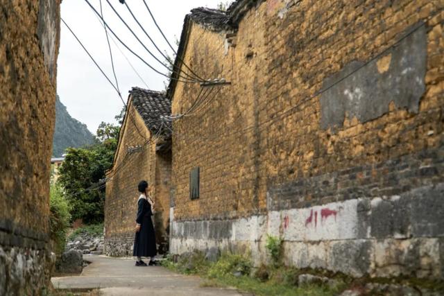 秋分至！桂林即将进入 “颜值巅峰期”，这些家门口的秋日盛景别错过！