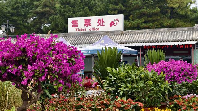 北京深秋上演色彩大片