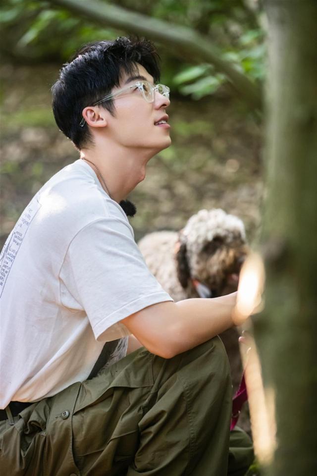 探索庄园图文攻略（全员寻找黑松露新一期中餐厅7探索庄园）