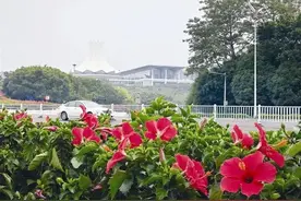 北回归线上的中国绿城·冬之色——赤槿满城图片