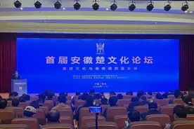 首届安徽楚文化论坛在淮南举行图片