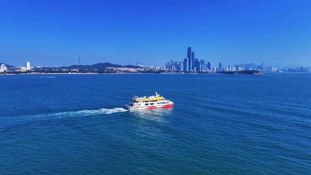 青岛“鸥”耶！在奥帆“追鸥逐浪”，背景板是城市天际线！