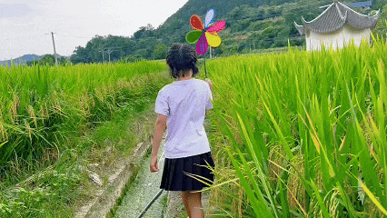 金秋有礼 绵阳有你 ‖ 盐亭秋色来：九月风起时，秋韵如诗