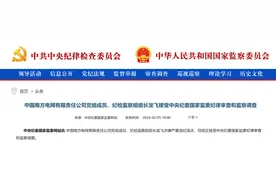 南方电网纪检组长龙飞任上落马图片