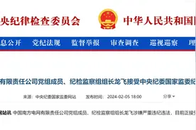 南方电网纪检组长龙飞任上落马图片