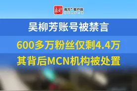 账号被禁言！吴柳芳及其MCN公司被处罚图片