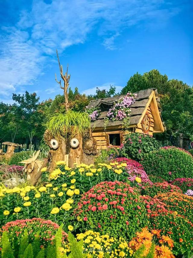 “巴公房子”立江畔，十大名菊传古韵！走过近70年的武汉菊展邀您来赏颜值品内涵