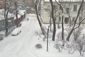 沈阳地铁最新发布！今日桃仙机场站延时运营至24时！图片