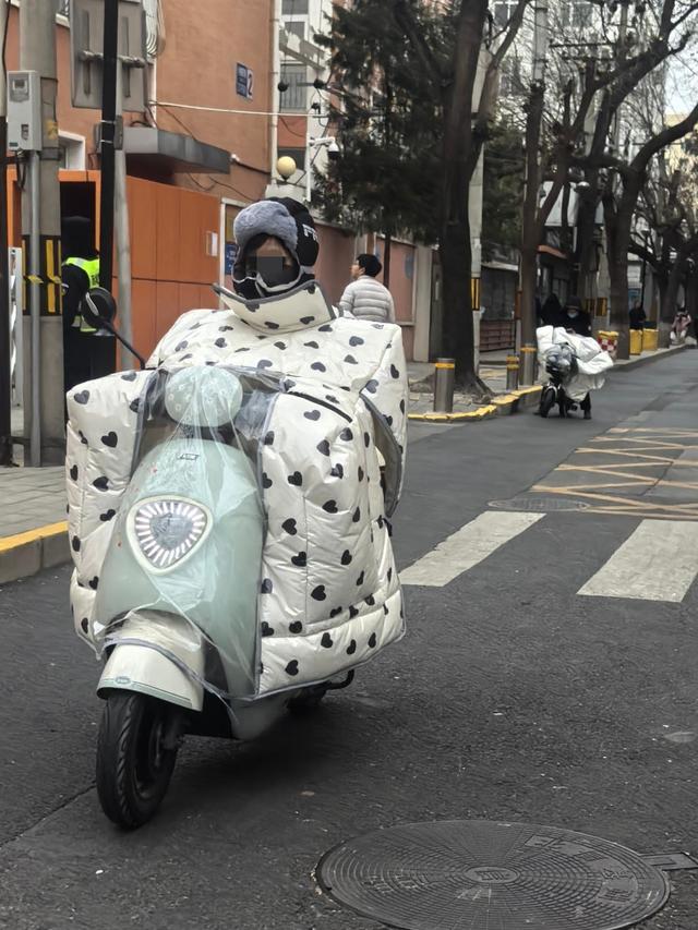 调查｜九成电动车加装挡风被，御寒“神器”为何变夺命利器