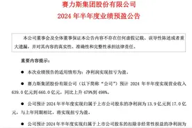 赛力斯发布2024年半年报业绩预告 预计归母净利13.9亿元至17亿元图片
