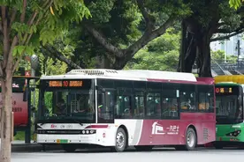 年初一睇烟花，这些公交线路将有调整，搭乘的市民要请注意!图片