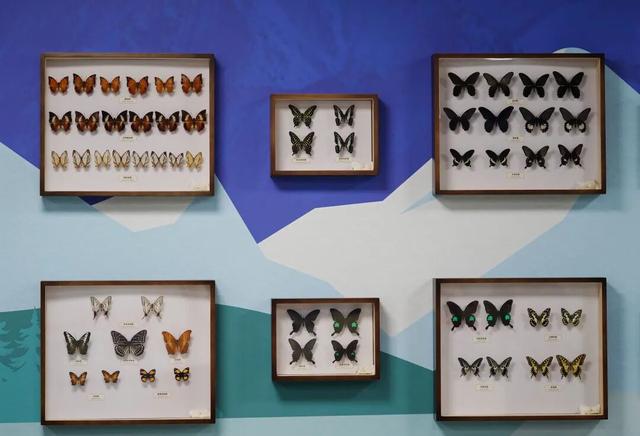 双流这些地方，让我忘了羽绒服！