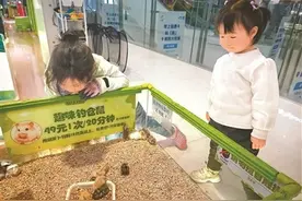 饲养“异宠”正流行 背后风险有哪些？图片