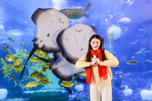 活动预告 | 精彩在奥帆，活动早知道！