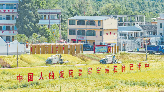 打造宜业宜游“醉美长潭”！蕉岭县长潭镇全力建设“百千万工程”石窟河农文旅融合发展先导区